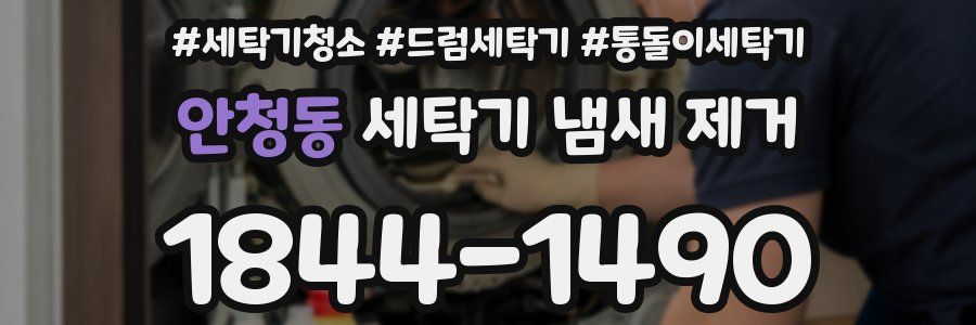 안청동 세탁기 냄새 제거