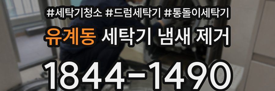 유계동 세탁기 냄새 제거