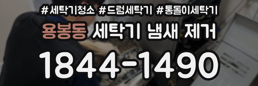 용봉동 세탁기 냄새 제거