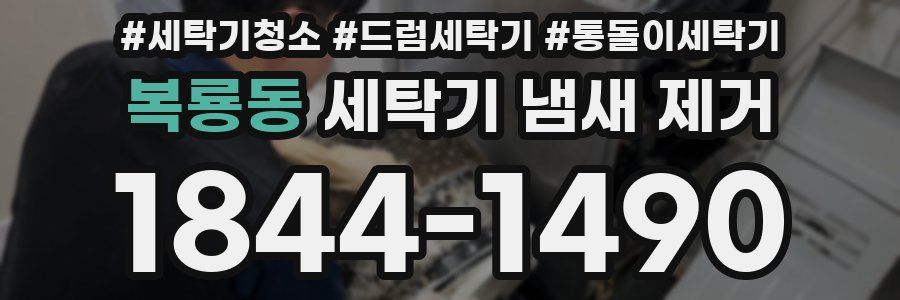 복룡동 세탁기 냄새 제거