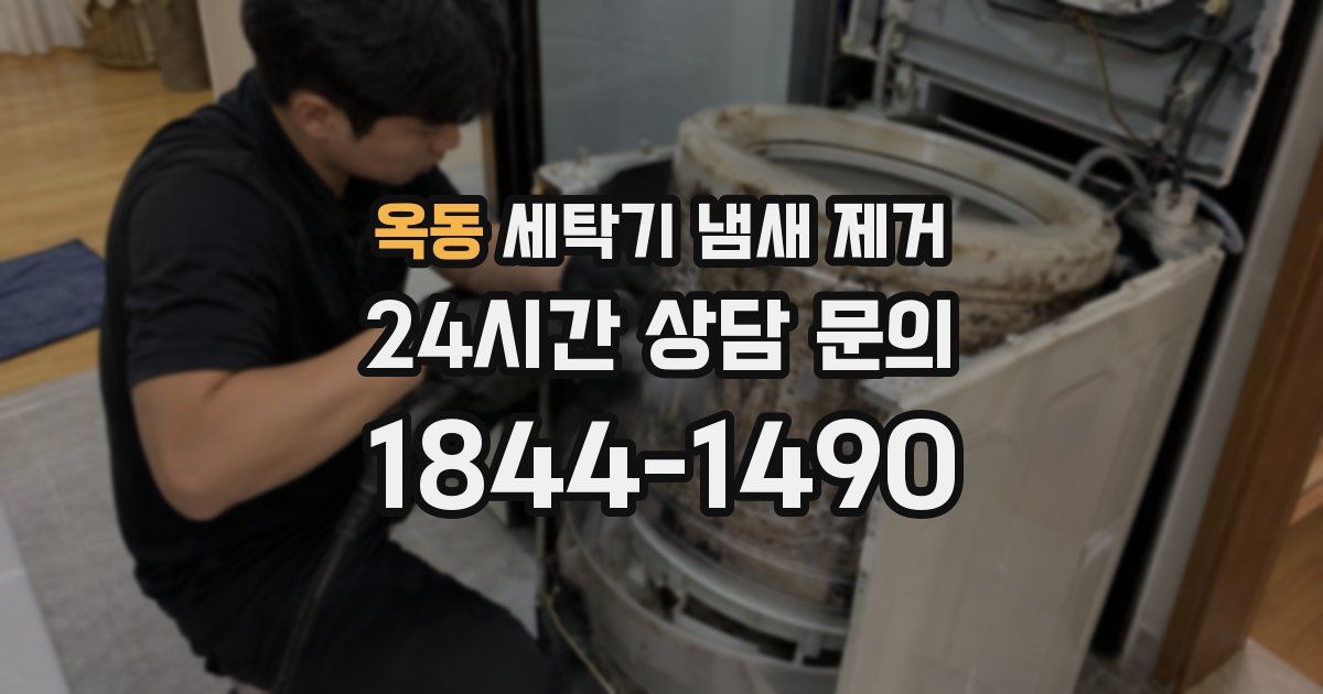 옥동 세탁기 냄새 제거