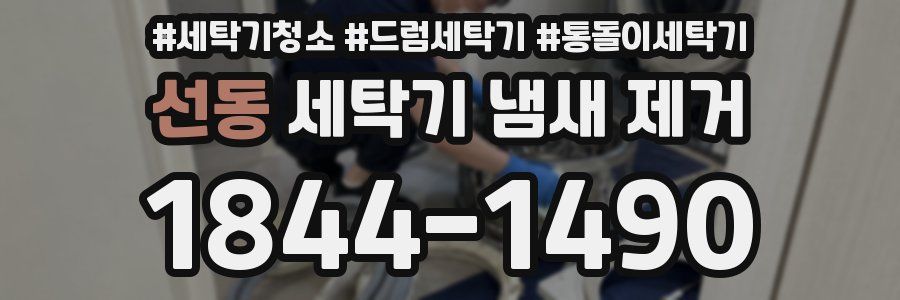 선동 세탁기 냄새 제거