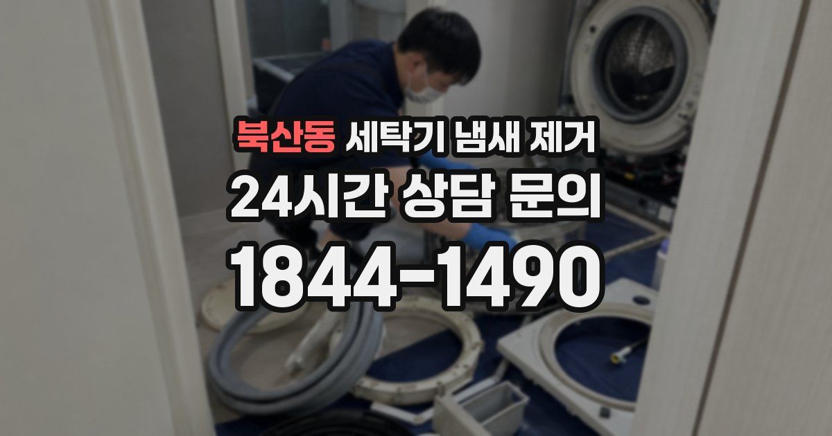 북산동 세탁기 냄새 제거