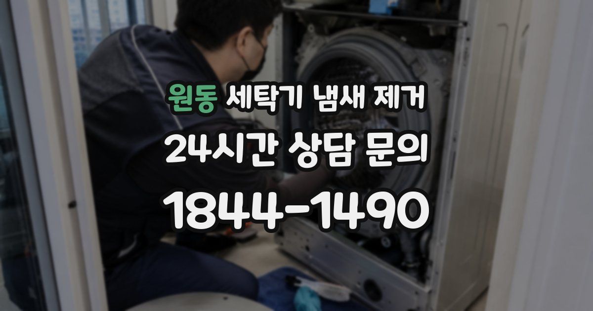 원동 세탁기 냄새 제거