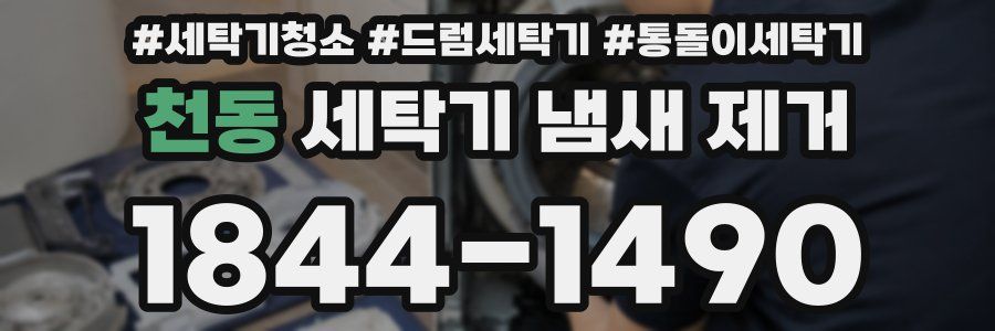 천동 세탁기 냄새 제거