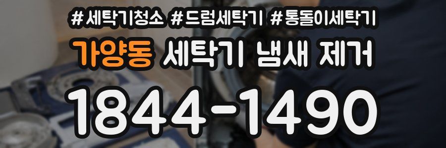 가양동 세탁기 냄새 제거
