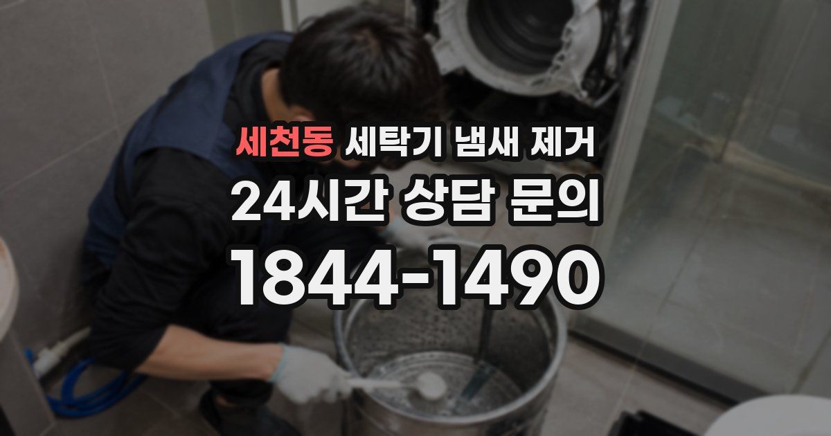 세천동 세탁기 냄새 제거