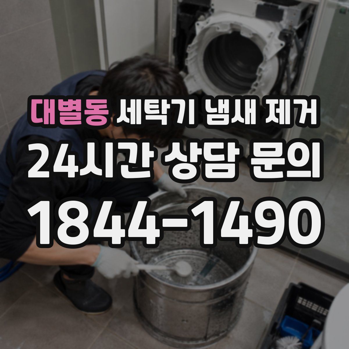 대별동 세탁기 냄새 제거
