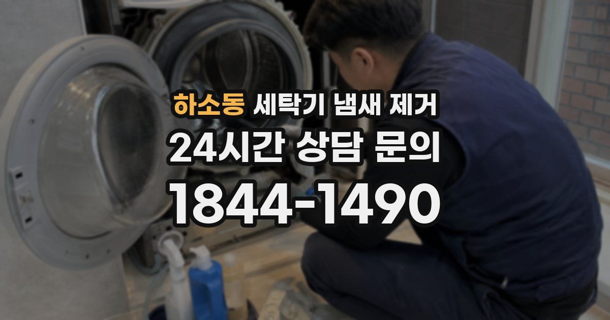 하소동 세탁기 냄새 제거