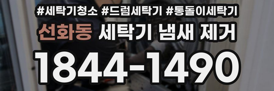 선화동 세탁기 냄새 제거