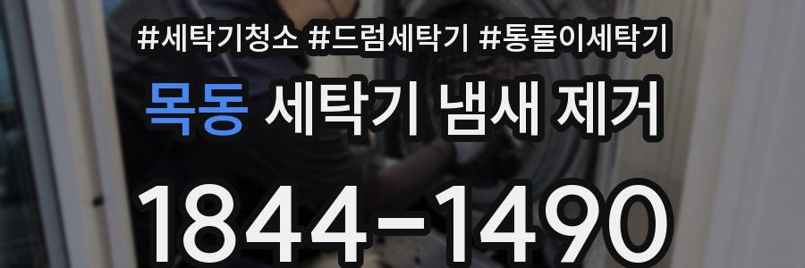 목동 세탁기 냄새 제거