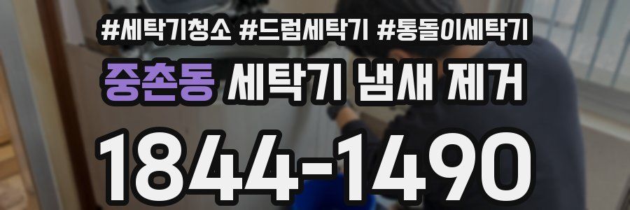 중촌동 세탁기 냄새 제거