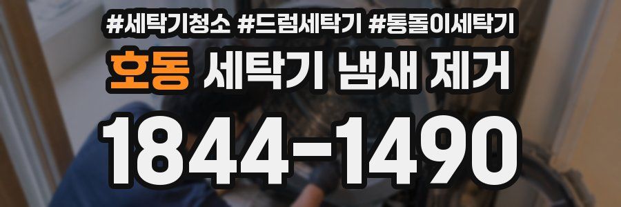 호동 세탁기 냄새 제거