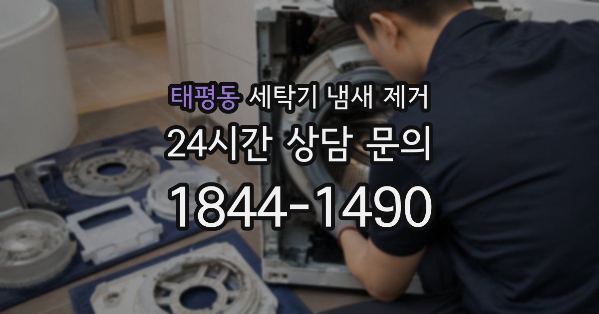 태평동 세탁기 냄새 제거