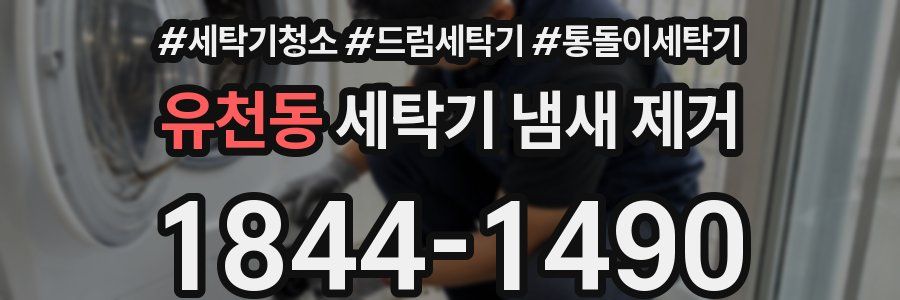 유천동 세탁기 냄새 제거
