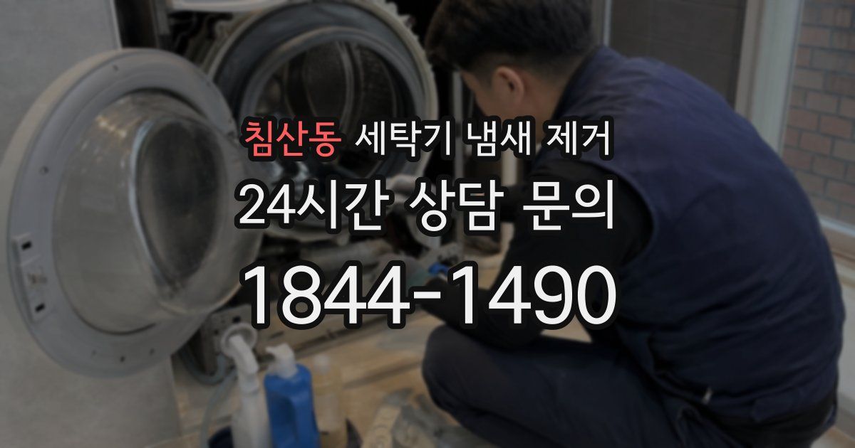 침산동 세탁기 냄새 제거