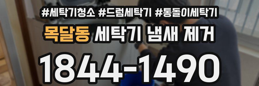목달동 세탁기 냄새 제거