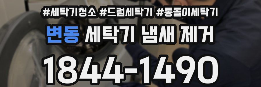 변동 세탁기 냄새 제거