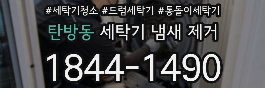 탄방동 세탁기 냄새 제거