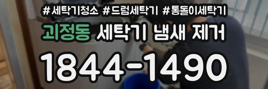 괴정동 세탁기 냄새 제거