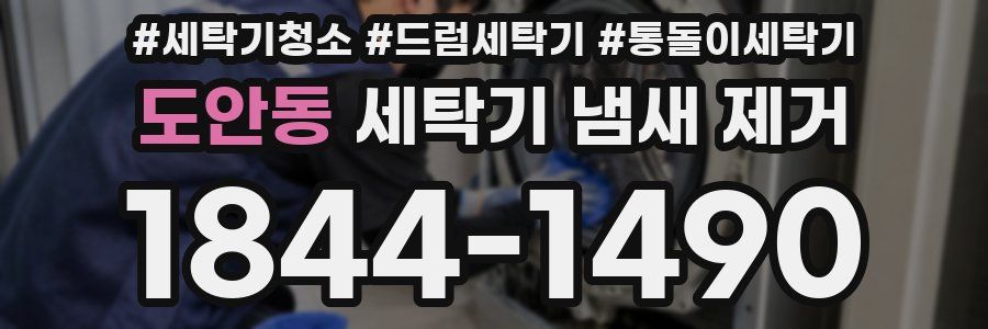 도안동 세탁기 냄새 제거