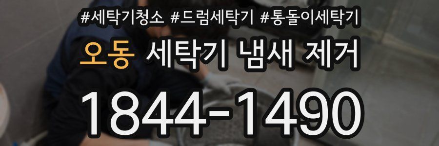 오동 세탁기 냄새 제거