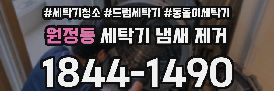원정동 세탁기 냄새 제거