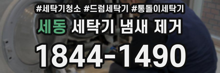 세동 세탁기 냄새 제거