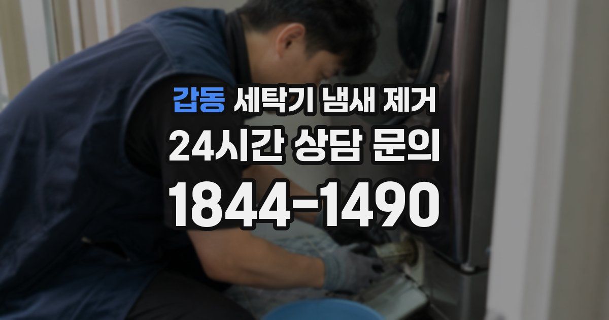 갑동 세탁기 냄새 제거