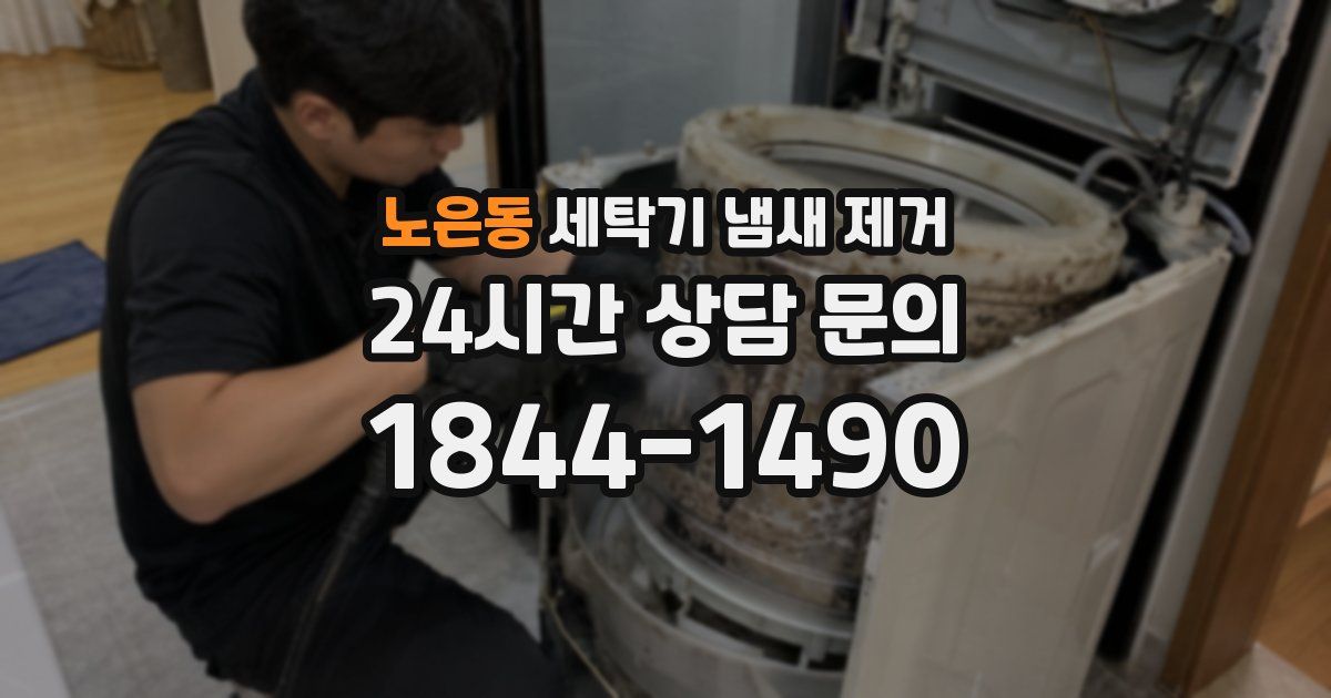 노은동 세탁기 냄새 제거