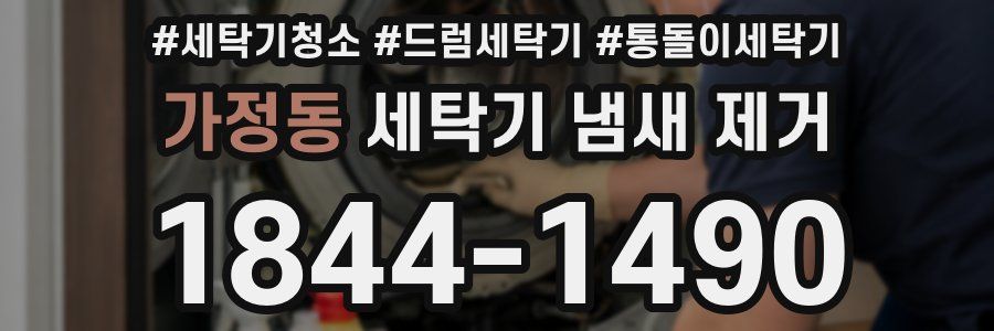 가정동 세탁기 냄새 제거