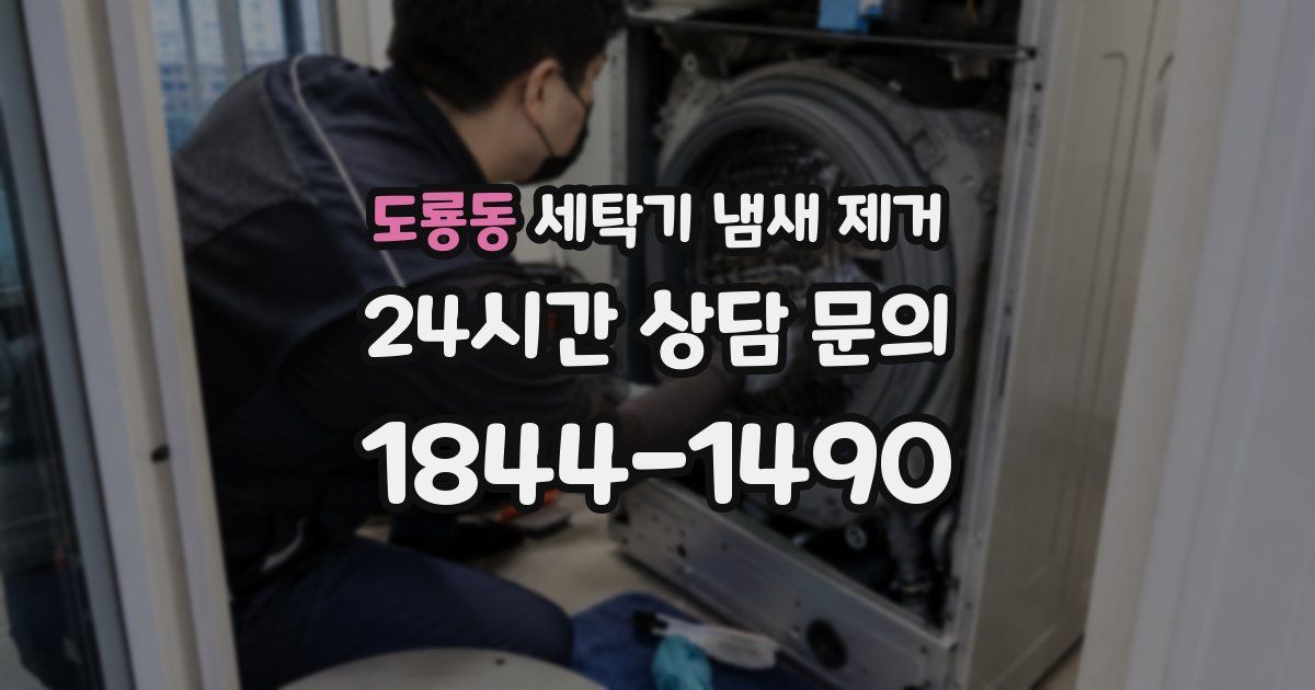 도룡동 세탁기 냄새 제거