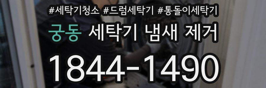 궁동 세탁기 냄새 제거