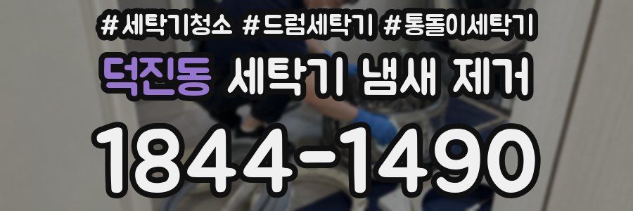 덕진동 세탁기 냄새 제거