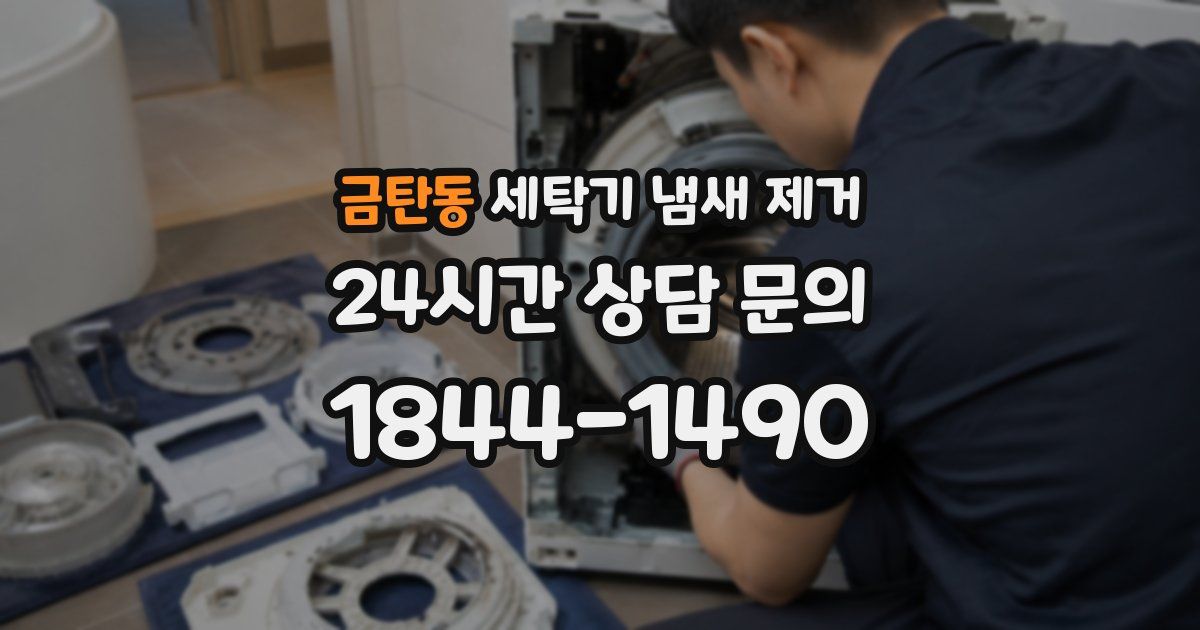 금탄동 세탁기 냄새 제거