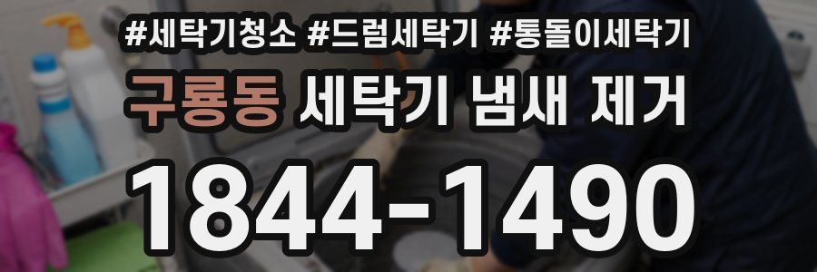 구룡동 세탁기 냄새 제거