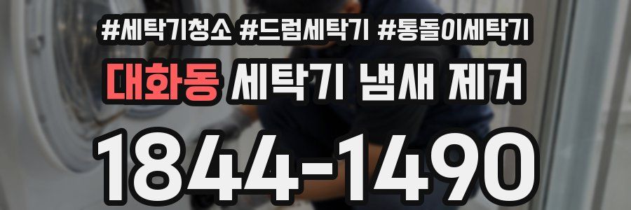 대화동 세탁기 냄새 제거