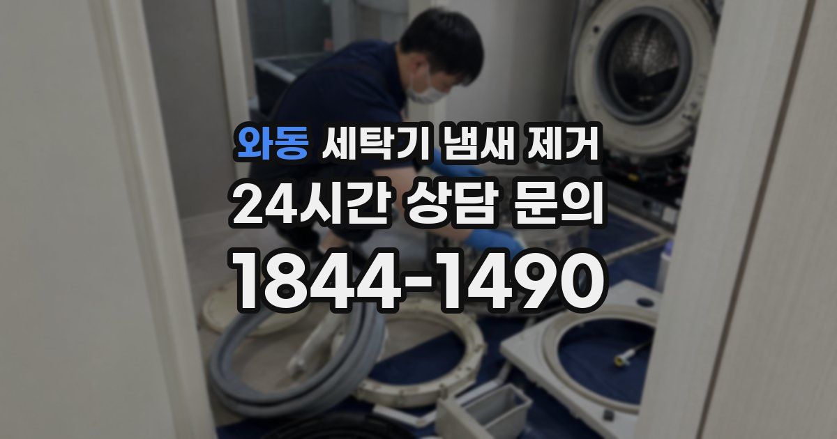 와동 세탁기 냄새 제거