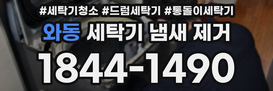 와동 세탁기 냄새 제거