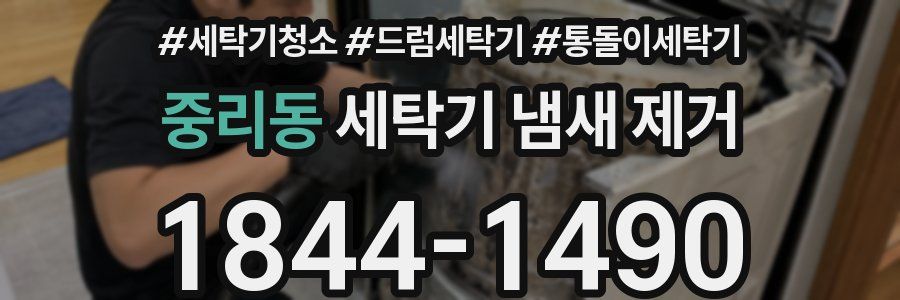 중리동 세탁기 냄새 제거