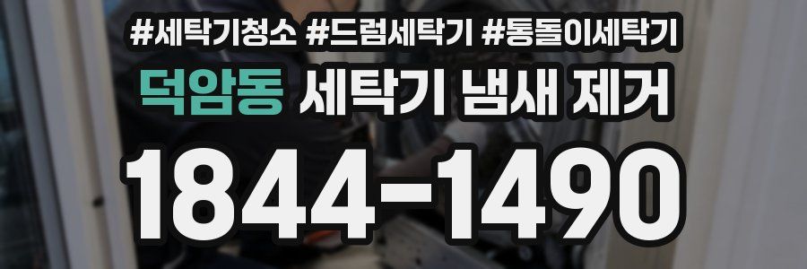 덕암동 세탁기 냄새 제거