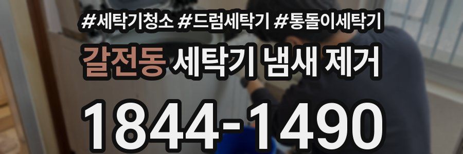 갈전동 세탁기 냄새 제거
