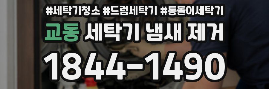 교동 세탁기 냄새 제거