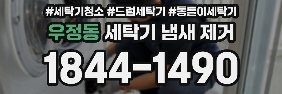 우정동 세탁기 냄새 제거