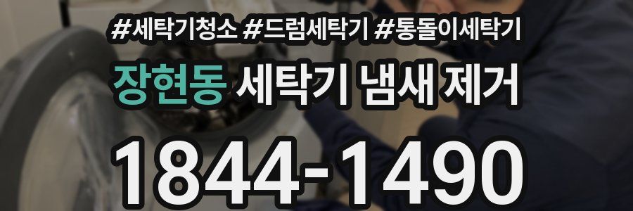 장현동 세탁기 냄새 제거