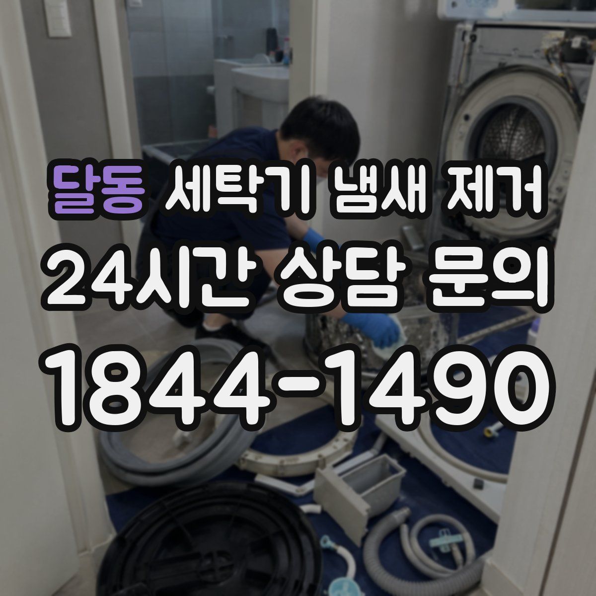 달동 세탁기 냄새 제거