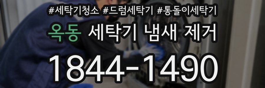 옥동 세탁기 냄새 제거