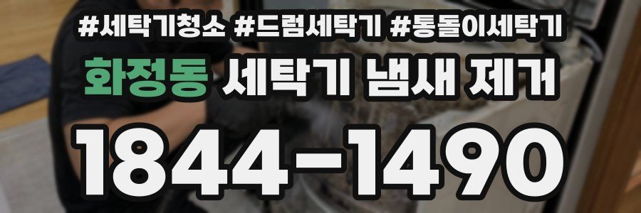 화정동 세탁기 냄새 제거
