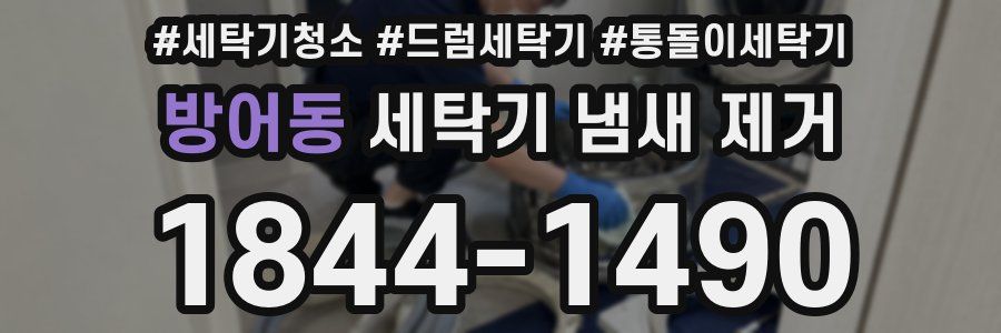 방어동 세탁기 냄새 제거