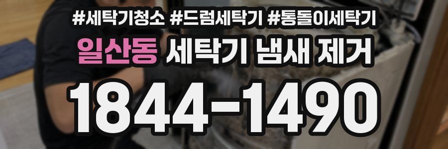 일산동 세탁기 냄새 제거